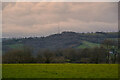 Membury : Grassy Field