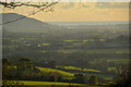 Axminster : Countryside Scenery