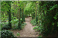 Path towards Hollingbury