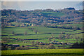 Membury : Countryside Scenery