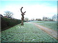 Dead tree near St Annes Road North, Heald Green