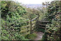 Kissing gate Creteway Down