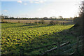 Fields on the edge of Dorchester