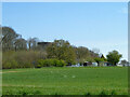 View east from Norsey Wood