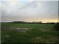 Autumn sown crop, Skinnand