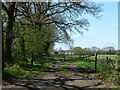 Gated farm track off Goatsmoor Lane