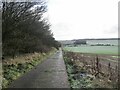 Road to Lochty Burn from Home Farm