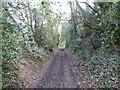 Old routeway above the Severn on the outskirts of Shrewsbury