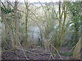 Steep bank above the River Severn