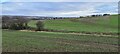 Fields between Handsworth and Orgreave