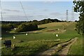 Golf driving range, Bourne Hill