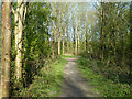 Path, Queens Park Country Park