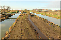 TF0070 : Water Rail Way / NCN Route 1 by Richard Croft