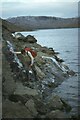 NN2811 : Rocky shoreline of Loch Sloy 1981 by Jim Barton