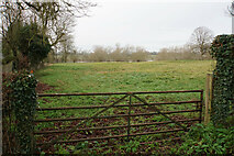 SU6190 : Field at Preston Crowmarsh by Bill Boaden