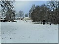 Lennox Park in the snow