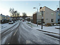 Frosty at Orangefield Park, Omagh