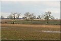 Winter landscape, Topcliffe