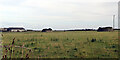 Air shafts in a field near Botallock