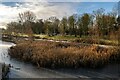 St Helens Canal