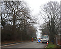 Tree surgery, Townsend Road