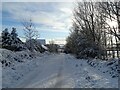 Looking down Knitsley Lane in the snow