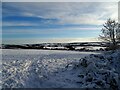 View east from Knitsley Lane in the snow