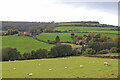 View near Woolley