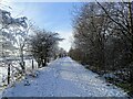 NZ1049 : View along the railway path in the snow by Robert Graham