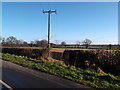 Wires over the fields, Cottingham