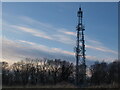 Netherton Braes TV transmission mast