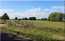 SP7125 : Field in Middle Claydon by David Howard