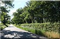 The road from Botolph Claydon to Calvert