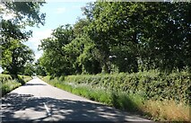 SP7025 : The road from Botolph Claydon to Calvert by David Howard