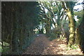 Tunbridge Wells Circular Walk Link Path