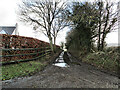 S6551 : Rural Lane by kevin higgins