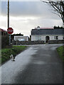 S6551 : Dog and Junction by kevin higgins
