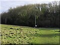 The Memorial Field in Kennington