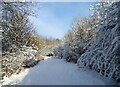 NZ0949 : The railway path in the snow by Robert Graham