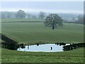 Farm pond