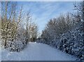 NZ1050 : Snowy scene on the railway path by Robert Graham