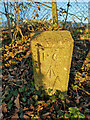 Old Boundary Marker of the former HM Prison Bullwood Hall