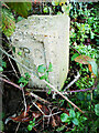 Old Boundary Marker east of Bullwood Hall Lane