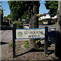 SZ0895 : Northbourne: Leybourne Avenue by Chris Downer