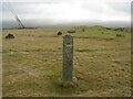 Old Boundary Marker on Caradon Hill