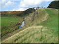 Coal scree bank by Poniel Water