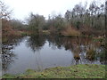 Old Nursery Pond