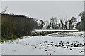 North Green: Snow covered field in Lonely Road