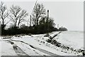 Starston: Skinners Lane leading from Hardwick Road