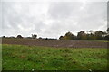 Farmland, Green Lane Farm